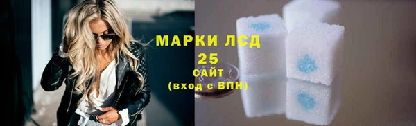 ГАЛЛЮЦИНОГЕННЫЕ ГРИБЫ Новозыбков